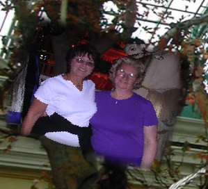 111129_-_index027009.jpg