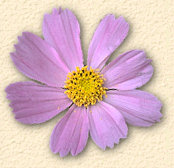 index025007.jpg