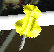 index065002.jpg